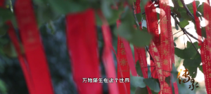 《傳承》之《為愛(ài)活著》