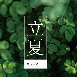 立夏,，一步綠色生機